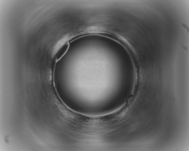 X0000099521461200805151513