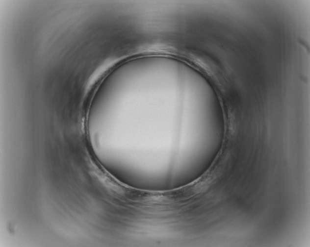 X0000099521462200805151512