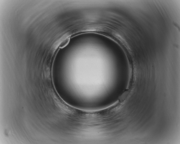 X0000099521465200805151512