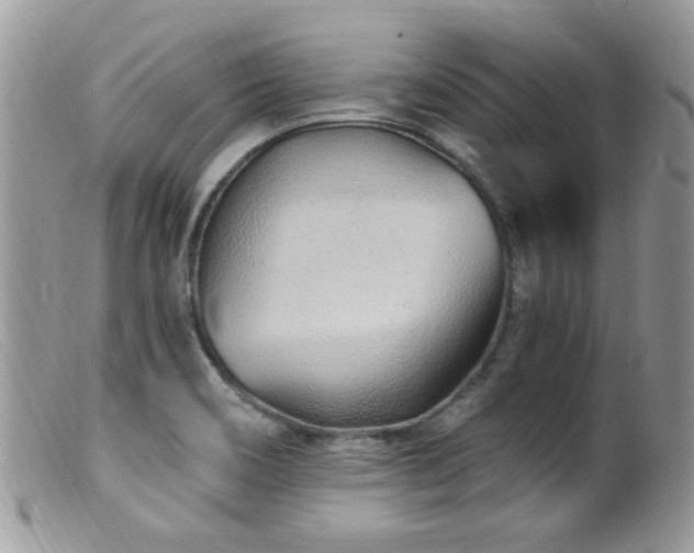 X0000099521466200805151512