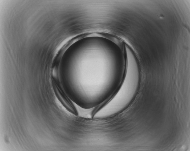 X0000099521468200805151512