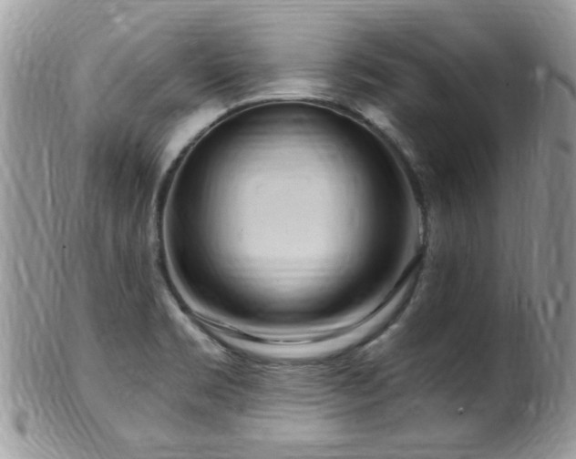 X0000099521469200805151512