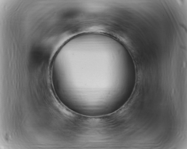 X0000099521470200805151512