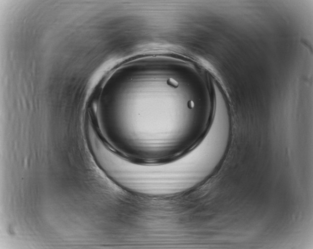 X0000099521472200805151512