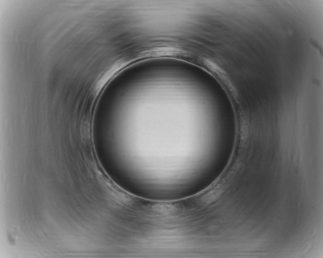 X0000099521473200805151512