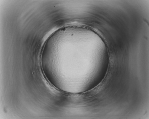 X0000099521474200805151512