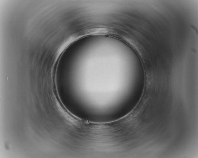 X0000099521475200805151512