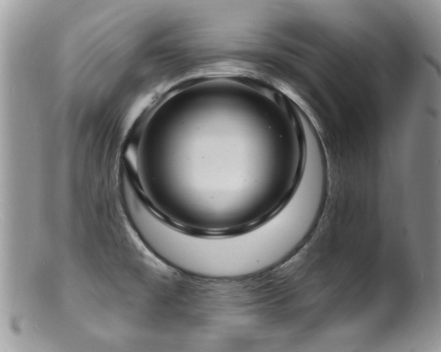 X0000099521477200805151512