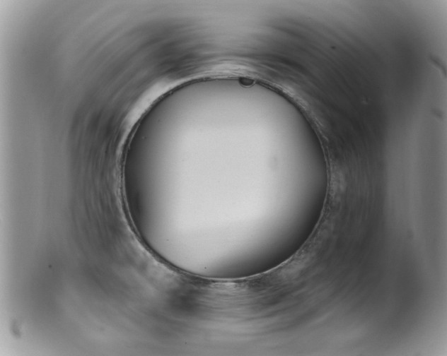 X0000099521478200805151512