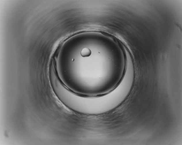 X0000099521480200805151512