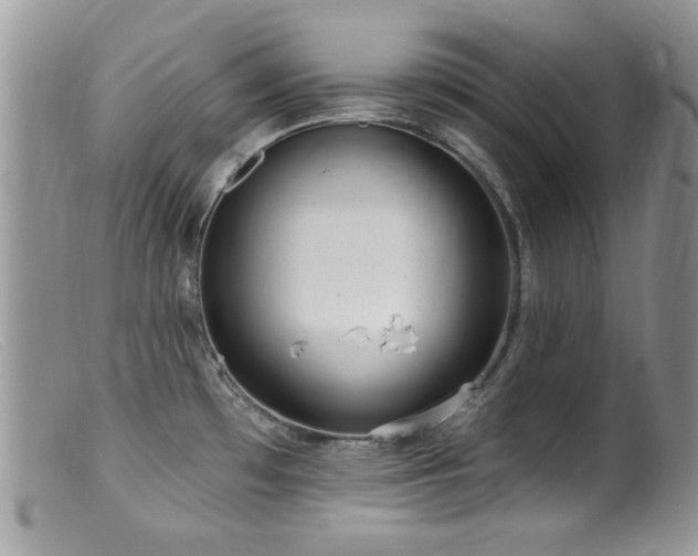 X0000099521481200805151512