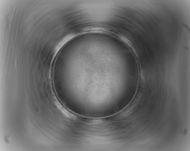 X0000099521482200805151512