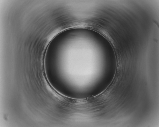 X0000099521483200805151512