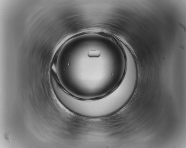 X0000099521484200805151512
