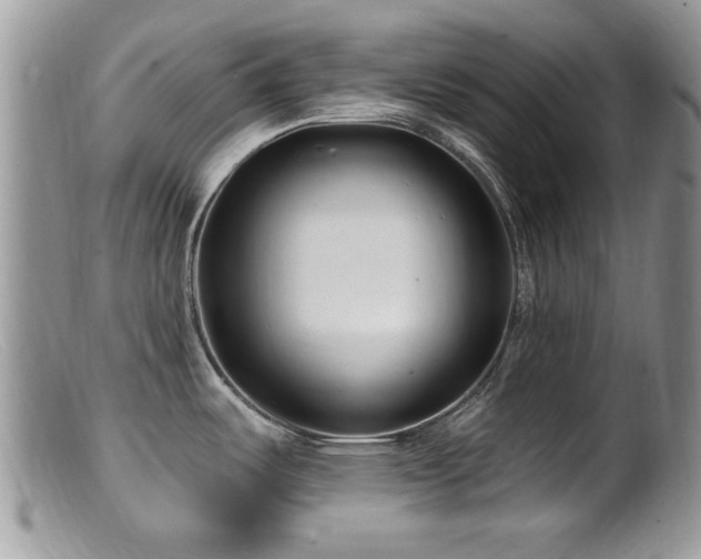 X0000099521487200805151512