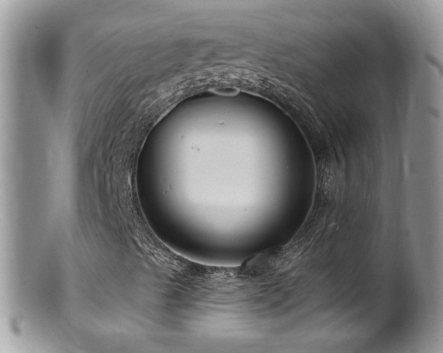 X0000099521489200805151511