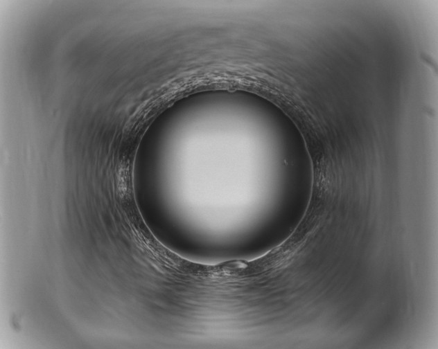 X0000099521490200805151511