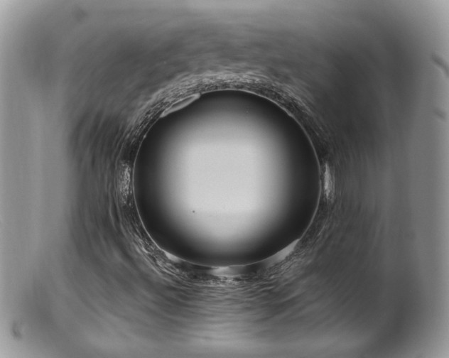 X0000099521492200805151511