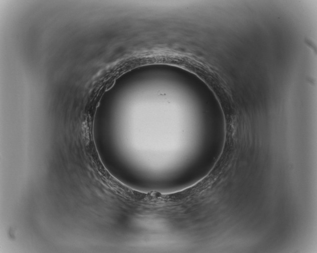 X0000099521493200805151511