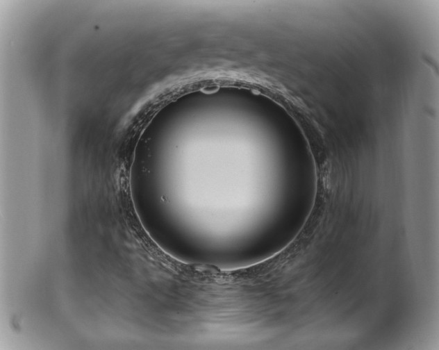 X0000099521495200805151511