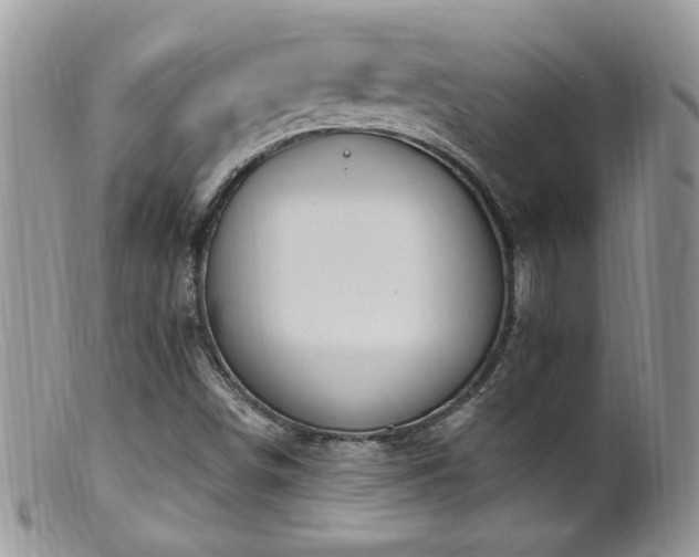 X0000099521498200805151512