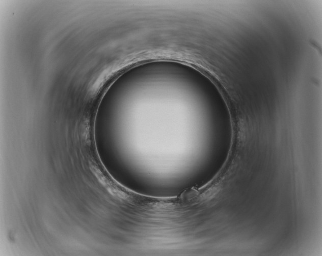 X0000099521499200805151512