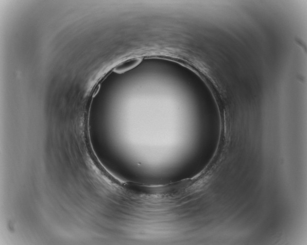 X0000099521500200805151512
