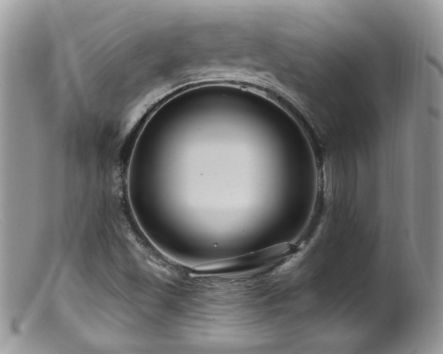 X0000099521501200805151512