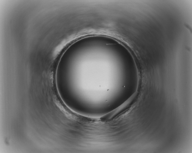 X0000099521503200805151512