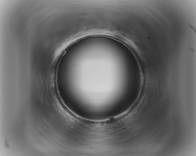 X0000099521504200805151512