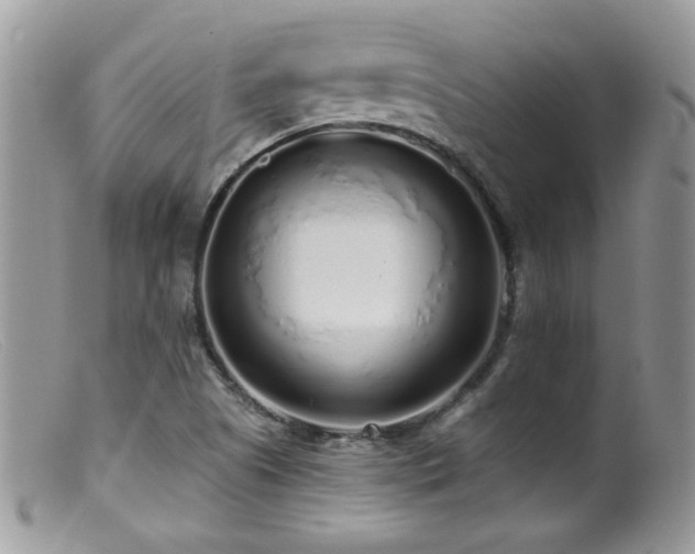 X0000099521505200805151512