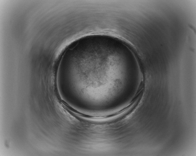 X0000099521506200805151512