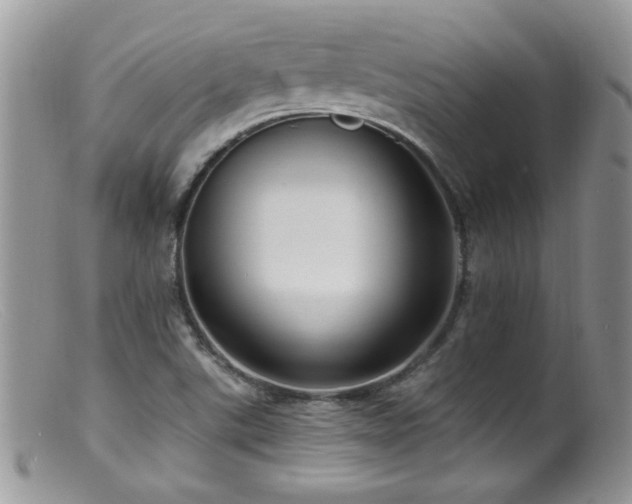 X0000099521507200805151512