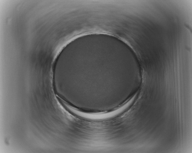 X0000099521508200805151512