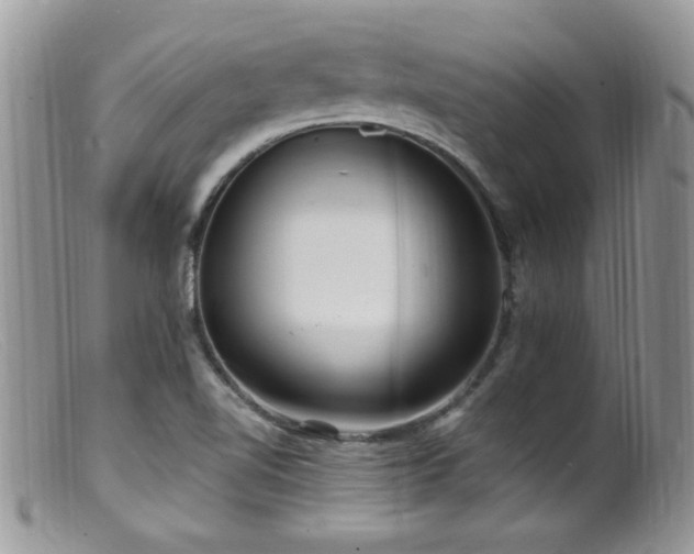 X0000099521510200805151512