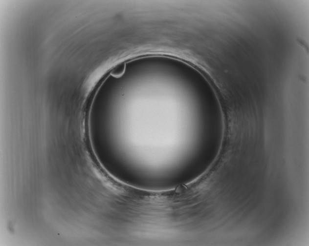 X0000099521511200805151512