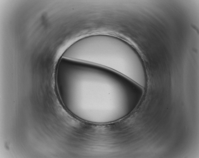 X0000099521512200805151512
