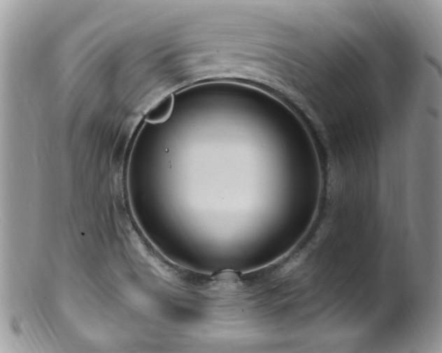 X0000099521513200805151512