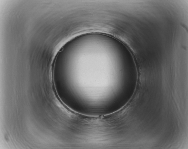 X0000099521516200805151512