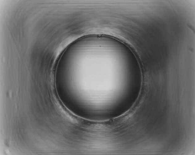 X0000099521517200805151512