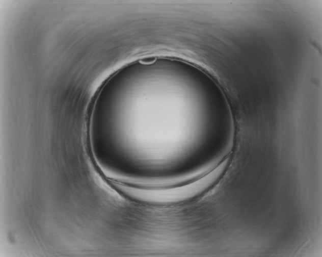 X0000099521518200805151512