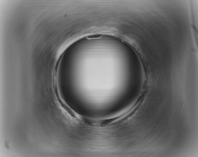 X0000099521520200805151512