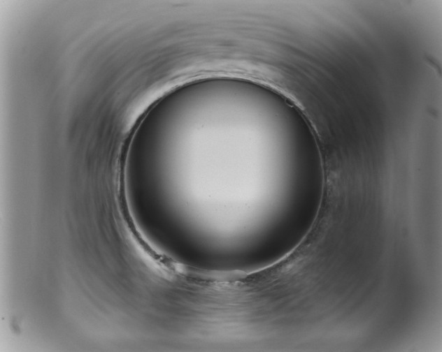 X0000099521523200805151512