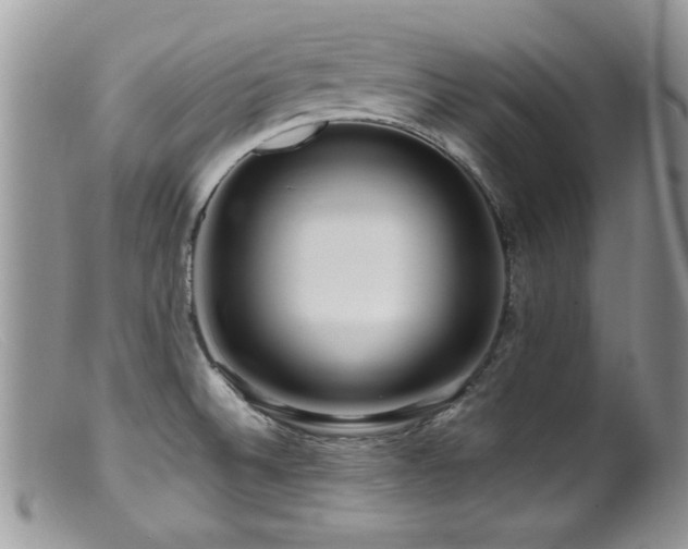 X0000099521524200805151512