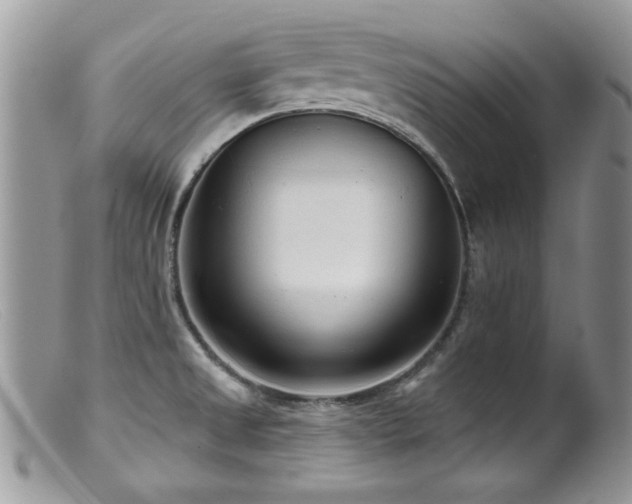 X0000099521525200805151512