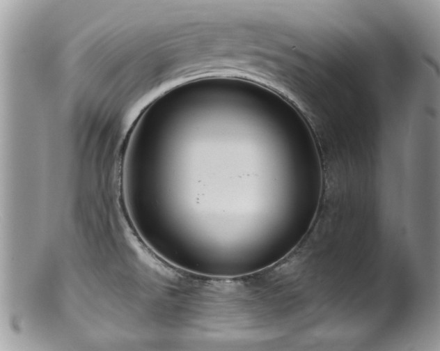 X0000099521526200805151512