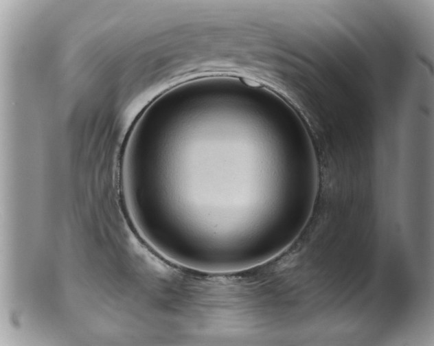 X0000099521527200805151512