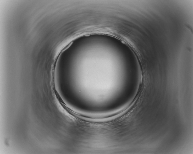 X0000099521528200805151512