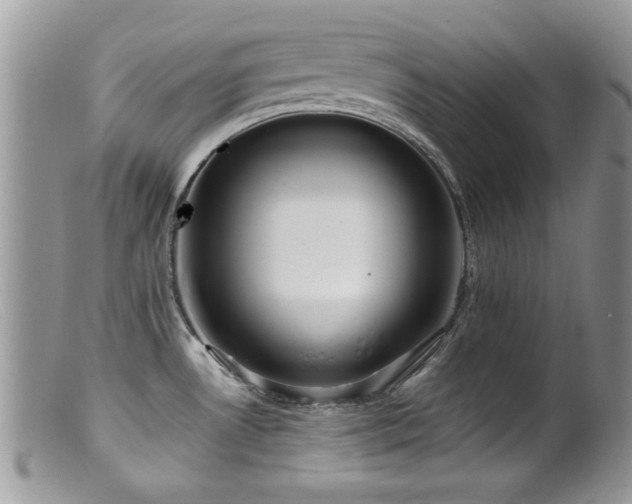X0000099521530200805151512