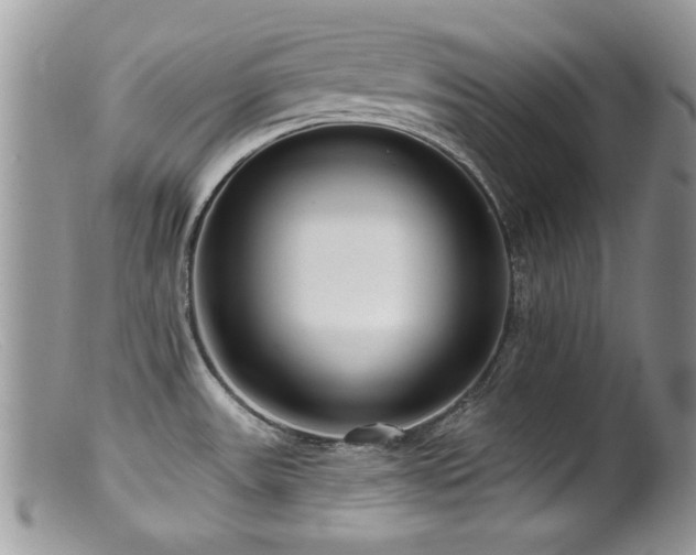 X0000099521531200805151512
